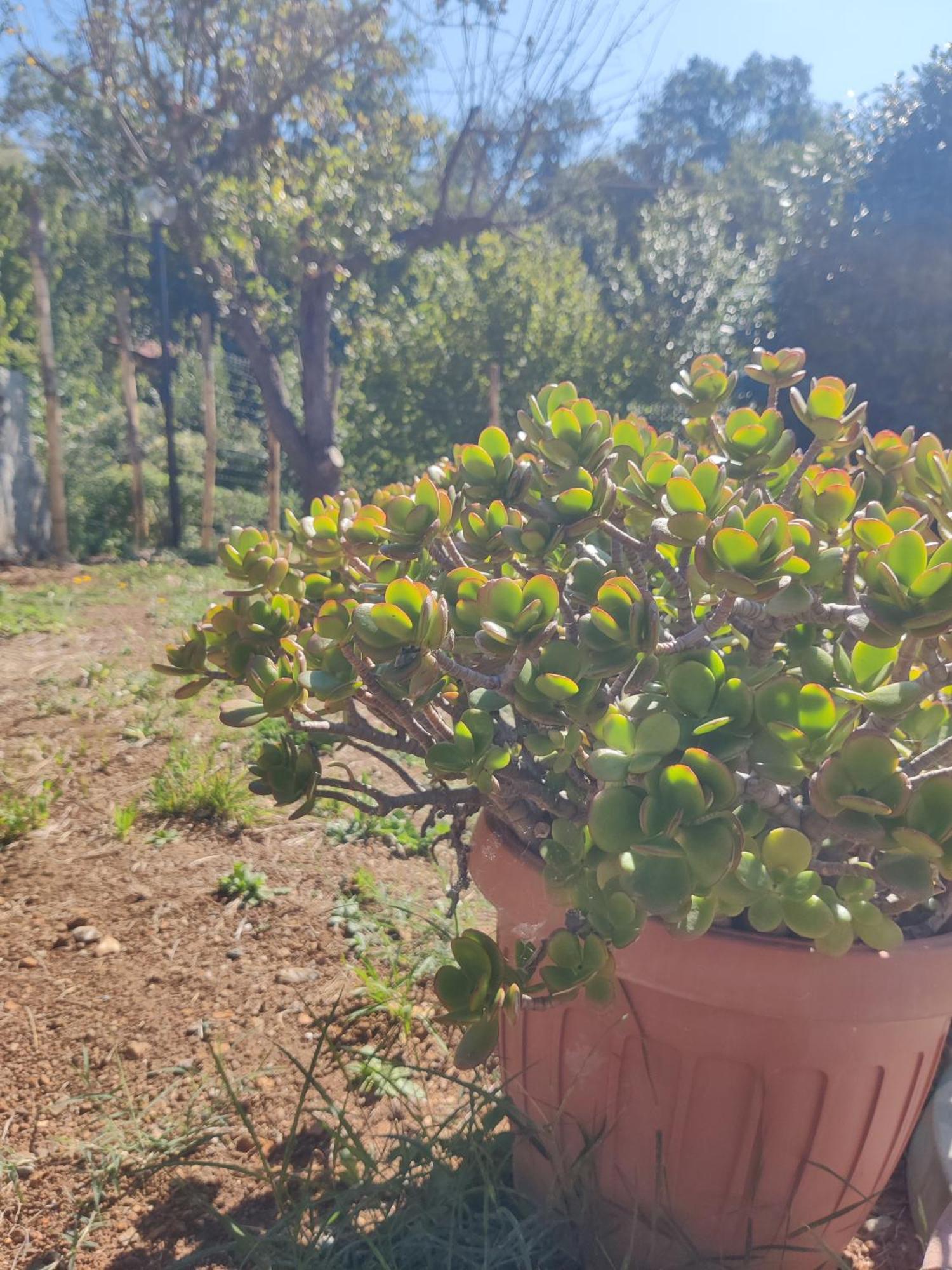 Appartamento Casa Bartola Stella Esterno foto