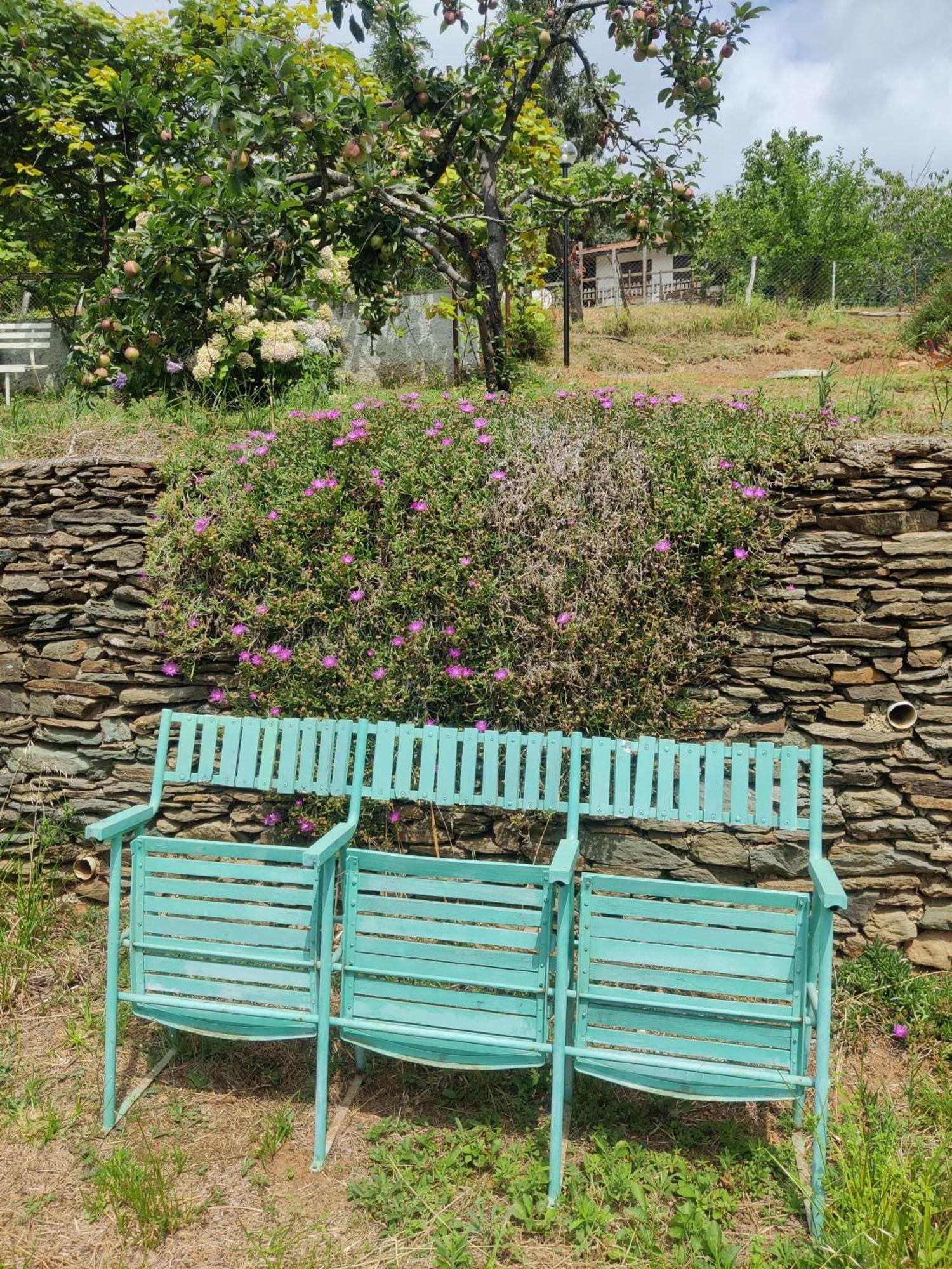 Appartamento Casa Bartola Stella Esterno foto